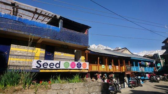 Seed Organic Cafe